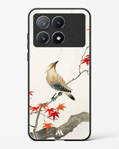 Japanese Plague bird On Maple [Ohara Koson] Glass Case Phone Cover (Xiaomi)