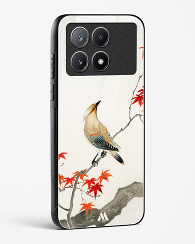 Japanese Plague bird On Maple [Ohara Koson] Glass Case Phone Cover (Xiaomi)