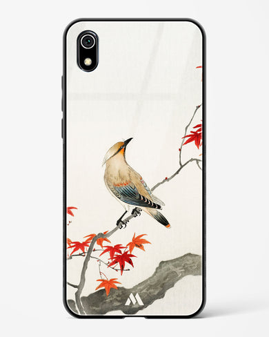 Japanese Plague bird On Maple [Ohara Koson] Glass Case Phone Cover-(Xiaomi)