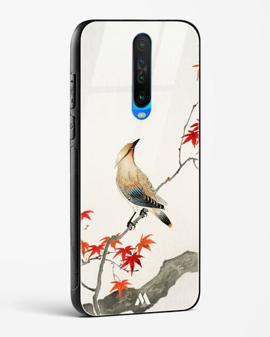 Japanese Plague bird On Maple [Ohara Koson] Glass Case Phone Cover (Xiaomi)