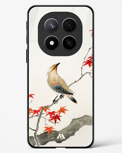 Japanese Plague bird On Maple [Ohara Koson] Glass Case Phone Cover (Xiaomi)