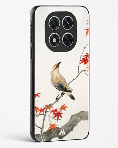 Japanese Plague bird On Maple [Ohara Koson] Glass Case Phone Cover (Xiaomi)