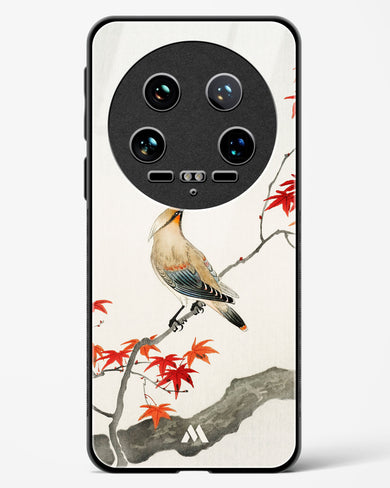 Japanese Plague bird On Maple [Ohara Koson] Glass Case Phone Cover (Xiaomi)