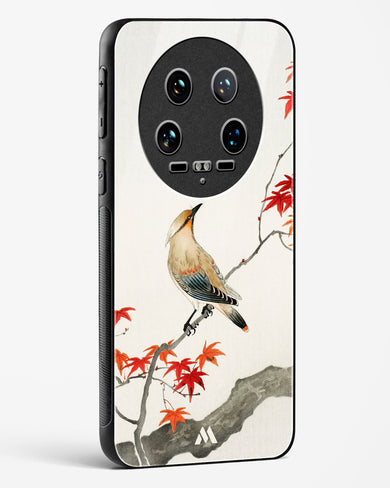Japanese Plague bird On Maple [Ohara Koson] Glass Case Phone Cover (Xiaomi)
