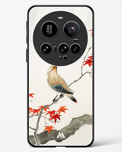 Japanese Plague bird On Maple [Ohara Koson] Glass Case Phone Cover (Xiaomi)