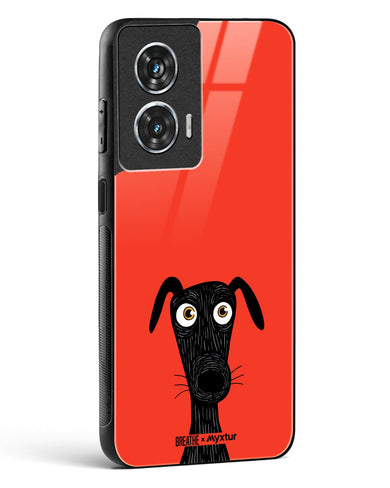 Ruff Around the Edges [BREATHE] Glass Case Phone Cover (Motorola)