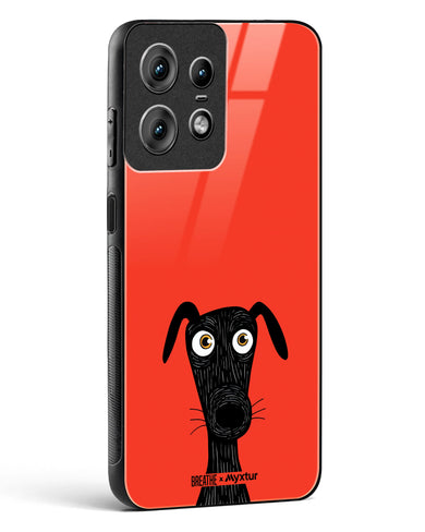 Ruff Around the Edges [BREATHE] Glass Case Phone Cover (Motorola)