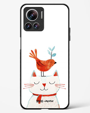 Whisker Perch [BREATHE] Glass Case Phone Cover (Motorola)