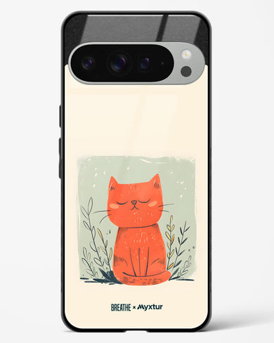 Orange Whiskers [BREATHE] Glass Case Phone Cover (Google)