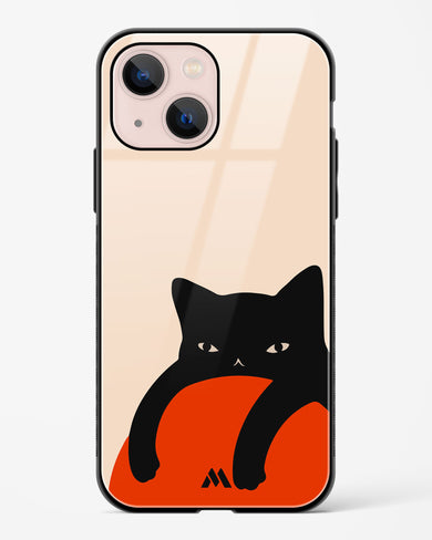 Purrfect Chill Glass Case Phone Cover (Apple)