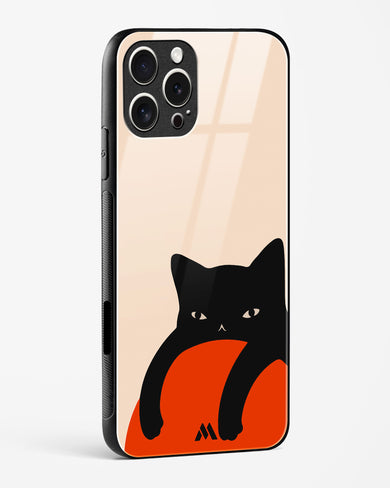 Purrfect Chill Glass Case Phone Cover (Apple)