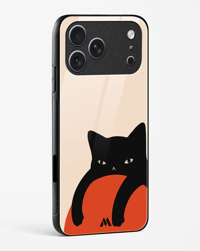 Purrfect Chill Glass Case Phone Cover (Apple)