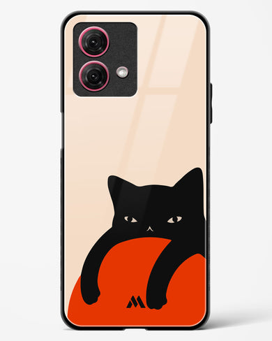 Purrfect Chill Glass Case Phone Cover (Motorola)