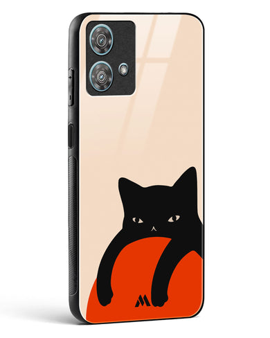 Purrfect Chill Glass Case Phone Cover (Motorola)