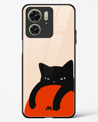 Purrfect Chill Glass Case Phone Cover (Motorola)