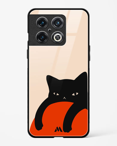 Purrfect Chill Glass Case Phone Cover (OnePlus)