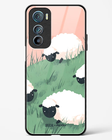 Marys Little Lambs [BREATHE] Glass Case Phone Cover (Motorola)