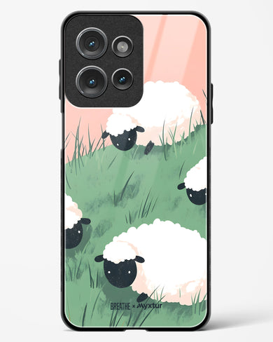 Marys Little Lambs [BREATHE] Glass Case Phone Cover (Motorola)
