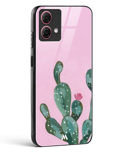 Desert Bloom Glass Case Phone Cover (Motorola)