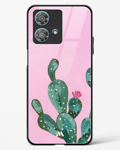 Desert Bloom Glass Case Phone Cover (Motorola)