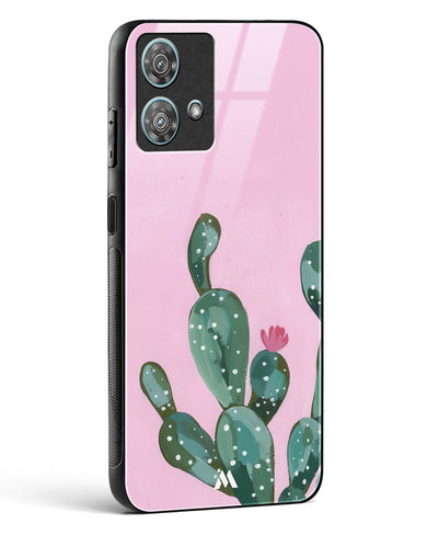 Desert Bloom Glass Case Phone Cover (Motorola)