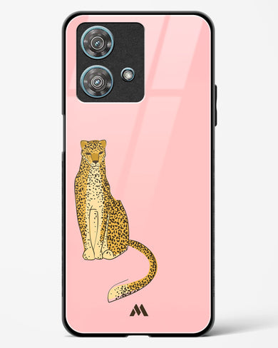 Fierce and Minimal Glass Case Phone Cover (Motorola)