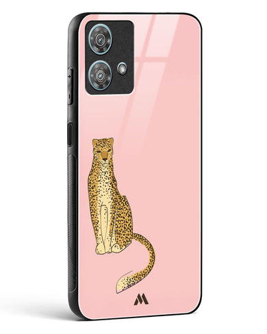 Fierce and Minimal Glass Case Phone Cover (Motorola)