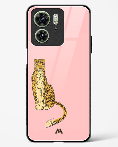 Fierce and Minimal Glass Case Phone Cover (Motorola)