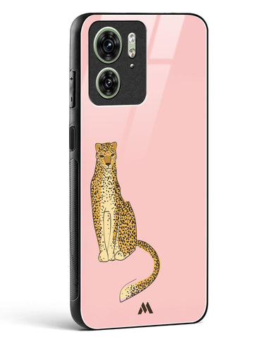 Fierce and Minimal Glass Case Phone Cover (Motorola)