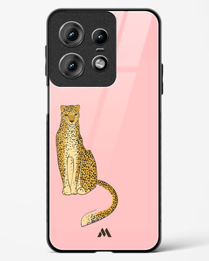 Fierce and Minimal Glass Case Phone Cover (Motorola)