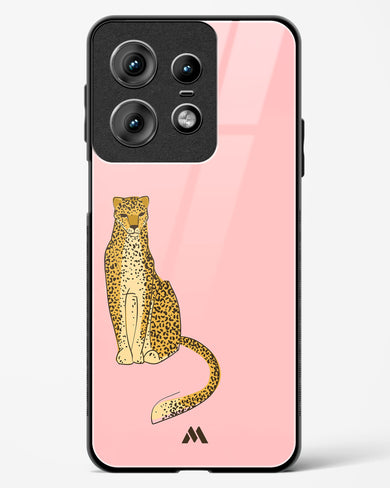 Fierce and Minimal Glass Case Phone Cover (Motorola)