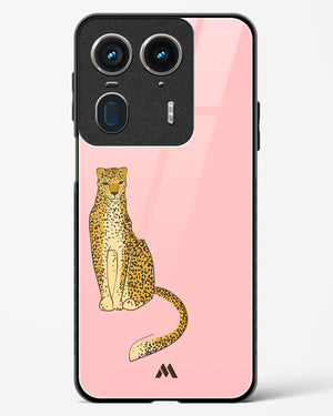 Fierce and Minimal Glass Case Phone Cover (Motorola)