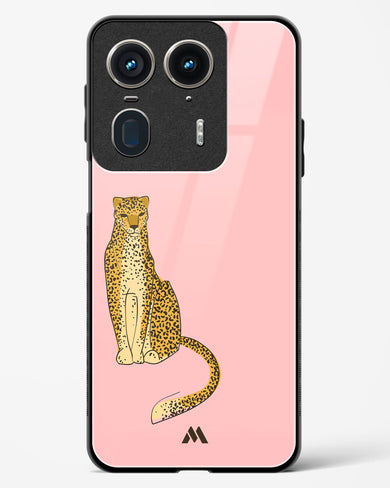 Fierce and Minimal Glass Case Phone Cover (Motorola)