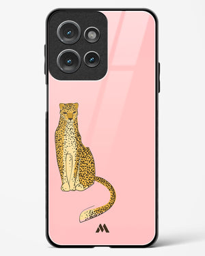 Fierce and Minimal Glass Case Phone Cover (Motorola)