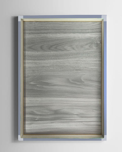 Shelby 66 GT350 Fastback Canvas Gallery Wrap