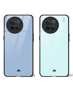 Arctic Prunes Fusion Glass Case Phone Cover Combo (Vivo)