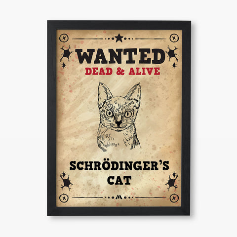 AP4012_Wanted-Schrodingers-