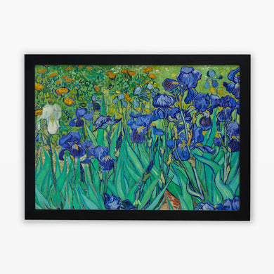 Irises [Van Gogh] Art-Poster