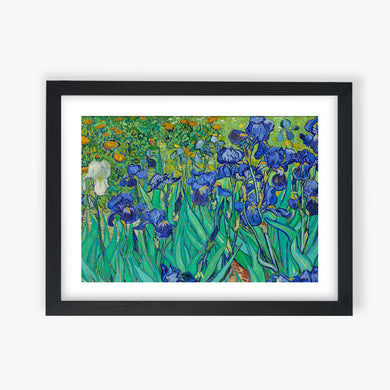 Irises [Van Gogh] Art-Poster