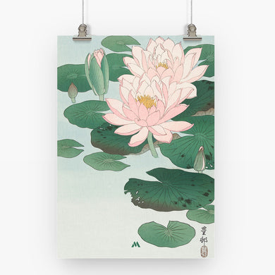 Water Lily [Ohara Koson] Art-Poster