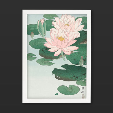 Water Lily [Ohara Koson] Art-Poster
