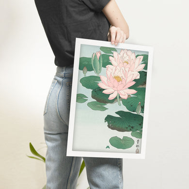 Water Lily [Ohara Koson] Art-Poster