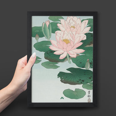 Water Lily [Ohara Koson] Art-Poster