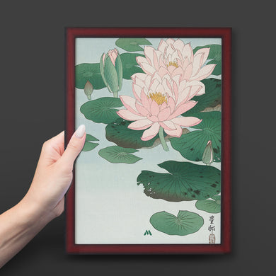 Water Lily [Ohara Koson] Art-Poster