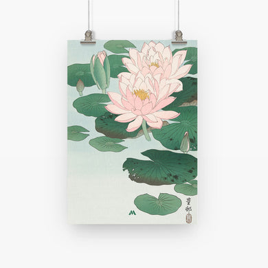 Water Lily [Ohara Koson] Art-Poster