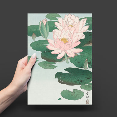 Water Lily [Ohara Koson] Art-Poster