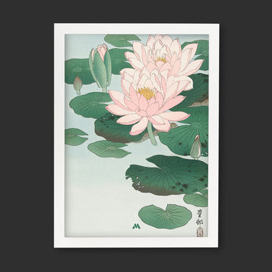 Water Lily [Ohara Koson] Art-Poster