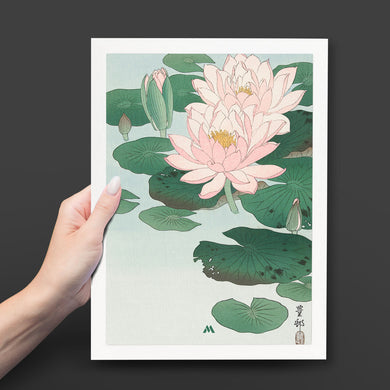 Water Lily [Ohara Koson] Art-Poster