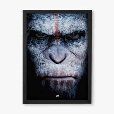 The Planet of the Apes Collection Art Poster-Combo