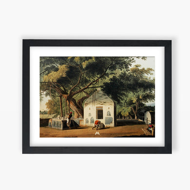 Sacred Tree of Hindus [Thomas Daniell] Art-Poster